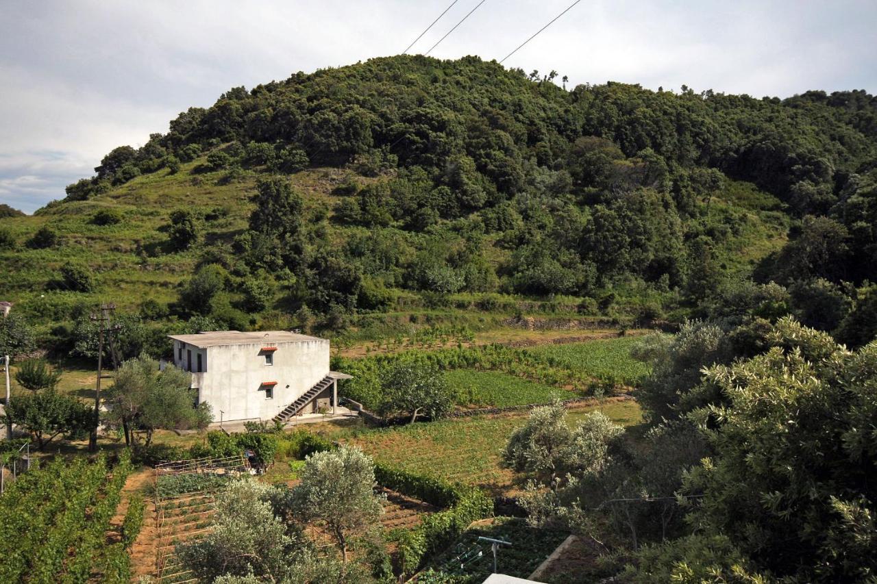 Apartments By The Sea Supetarska Draga - Donja, Rab - 2022 Εξωτερικό φωτογραφία